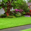 lawn-garden