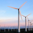 windmill-Wind-Farm