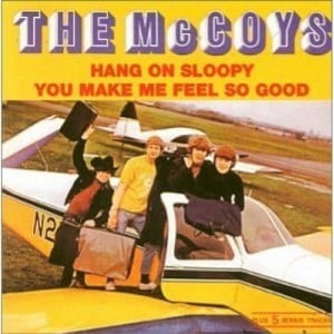  The McCoys - Hang on Sloopy