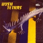 bush tetras