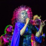 bjork2013