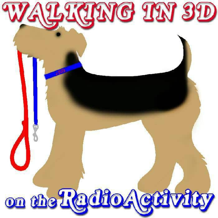 3D Walking