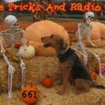 Active Tricks And Radio Treats