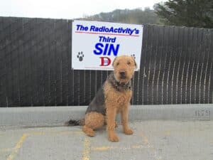 RadioActivity's 3rD Sin