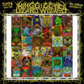 KGLW - 2024 King Gizzard shows