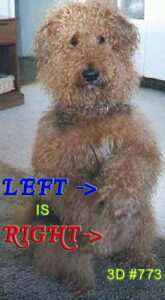 3D RadioActivity Left Is Right
