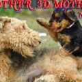 Another 3D Mother
