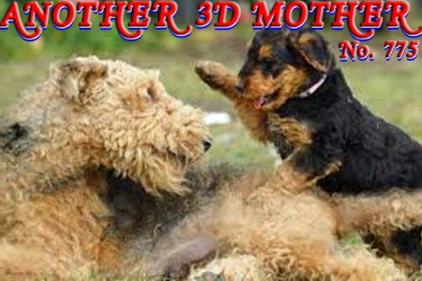Another 3D Mother