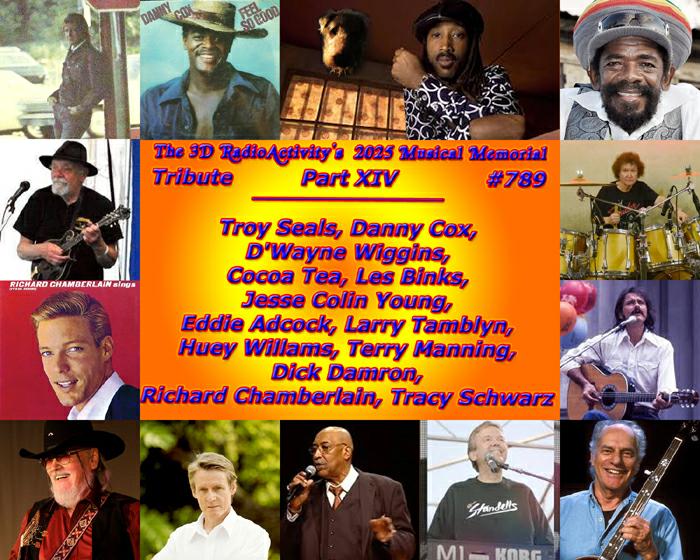 3D’s 2025 Musical Memorial Tribute PtXIV