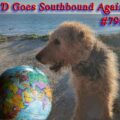 3D Goes Southbound Again