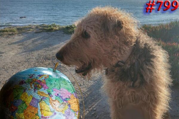 3D Goes Southbound Again